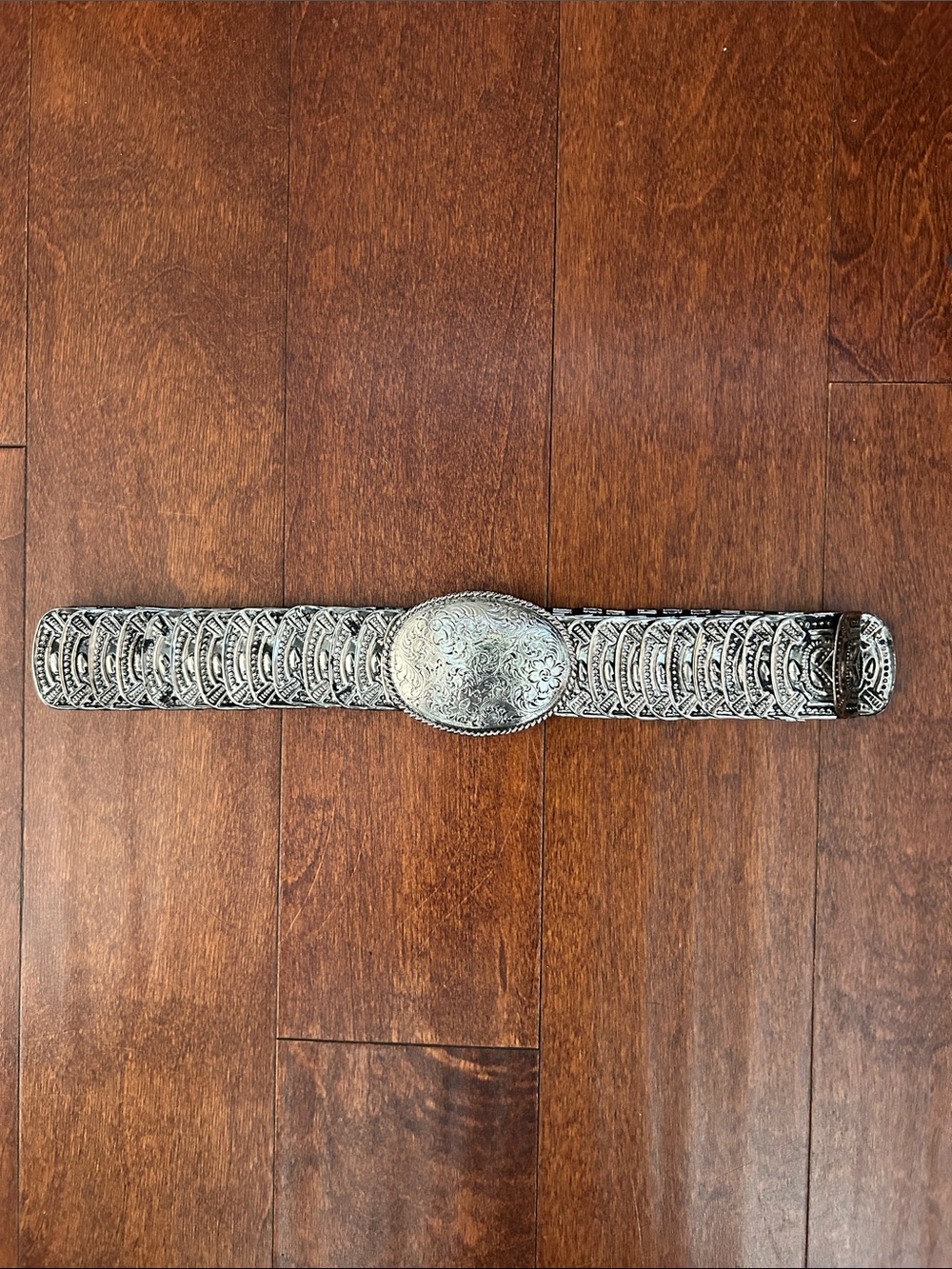 Intricately Engraved Silver-Tone Decorative Stretchy Scale Belt, Western Boho